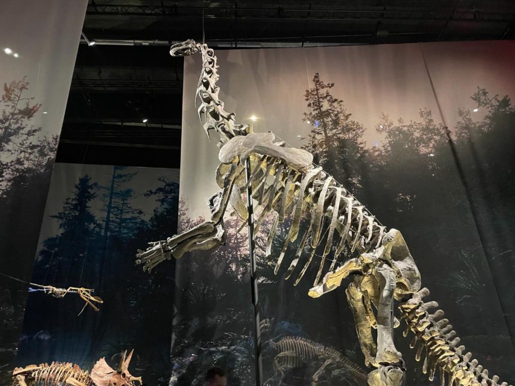 Naturalis