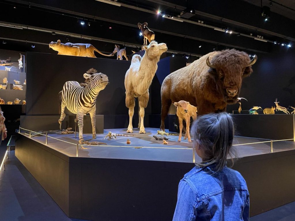Naturalis