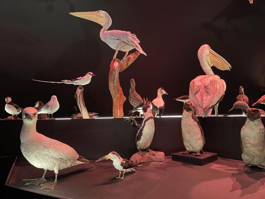 Naturalis