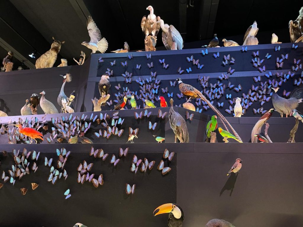 Naturalis