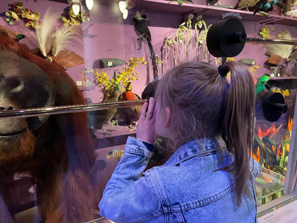Naturalis kindvriendelijke musea