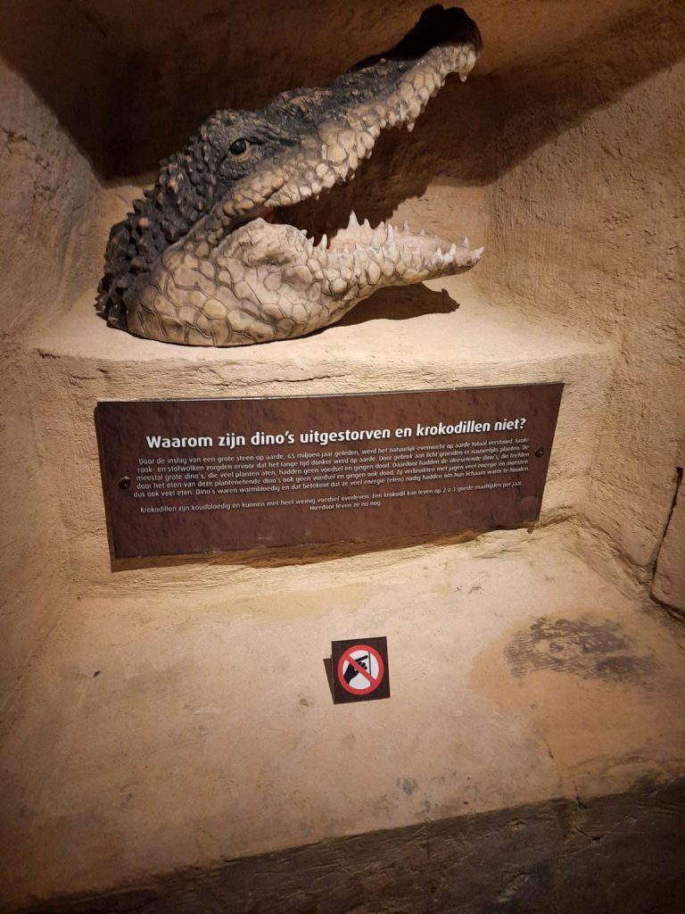waarom zijn dino's uitgestorven en krokodillen niet? 