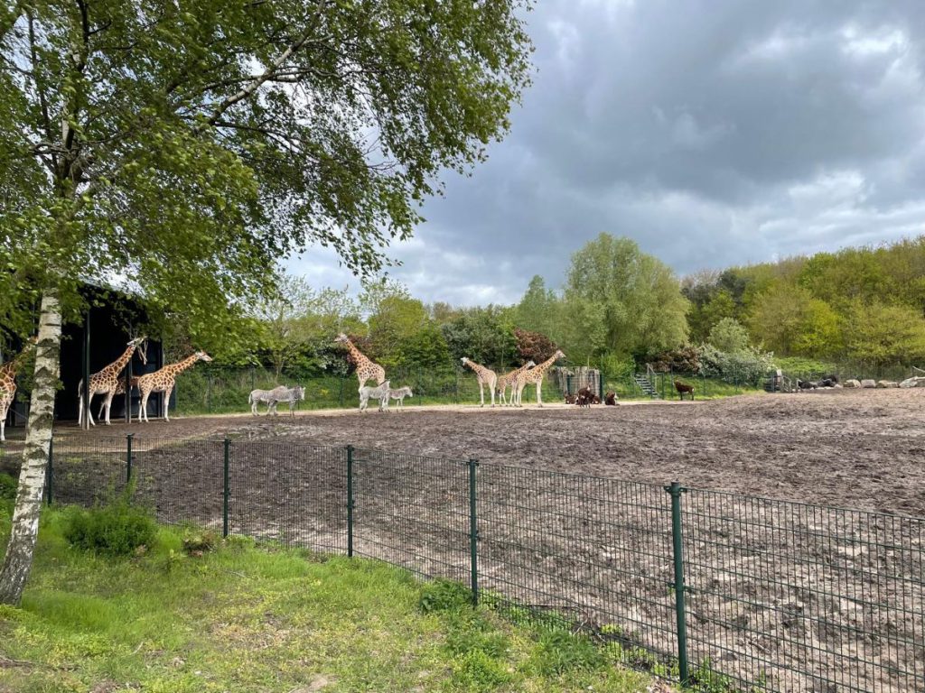 Safaripark Beekse Bergen