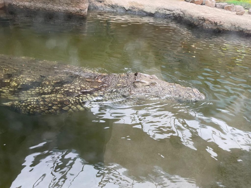 Safaripark Beekse Bergen