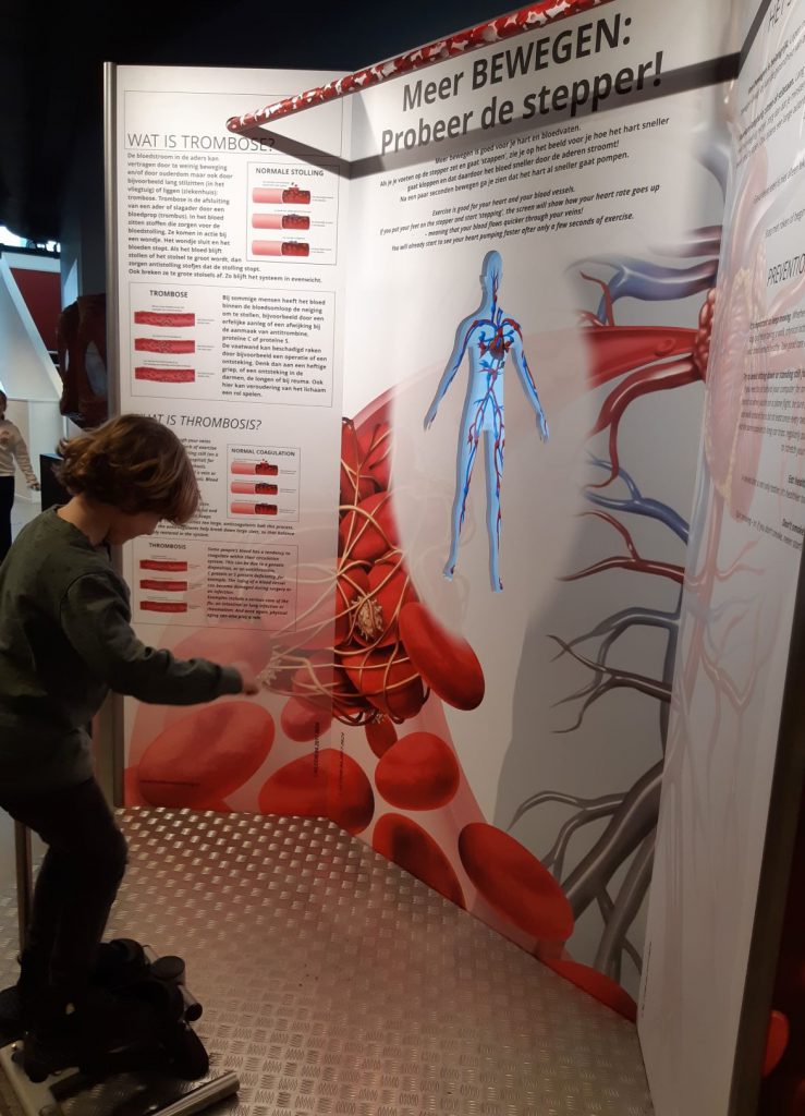 Corpus Leiden - een museum over het menselijk lichaam