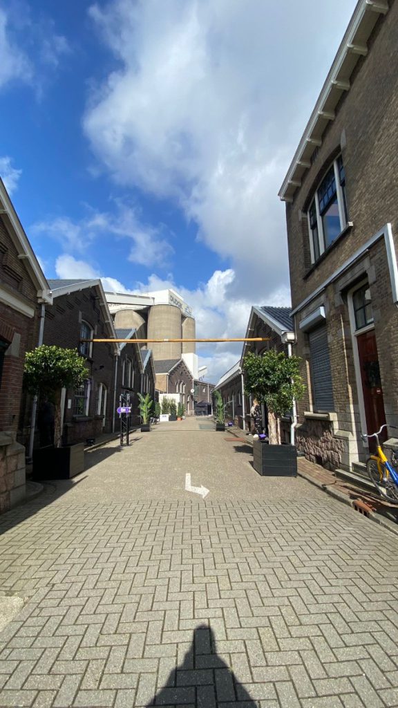 dagje weg molens urban schiedam