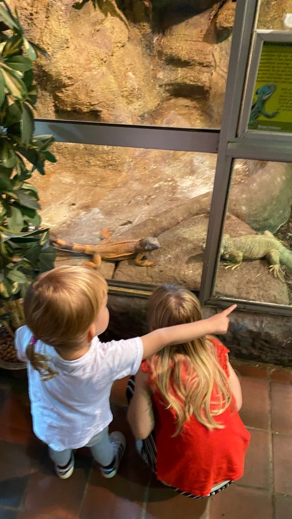 kinderen bij reptielen