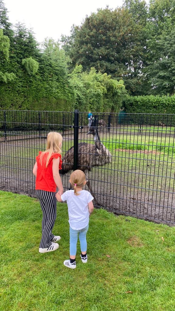 meisjes met emoe roofvogelshow