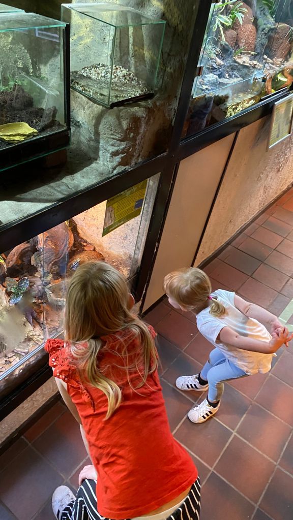 dierenpark de oliemeulen reptielenhuis