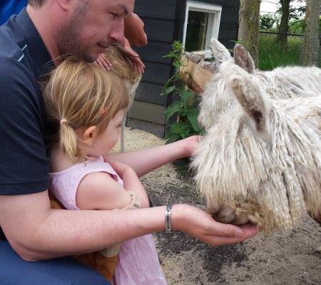 Landgoed Hoenderdaell – een prachtig landgoed in Noord-Holland