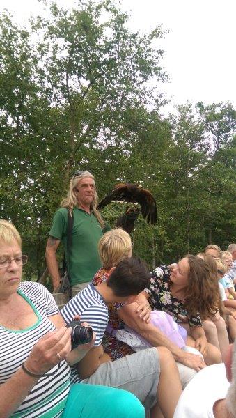 roofvogel roofvogelshow vogel publiek