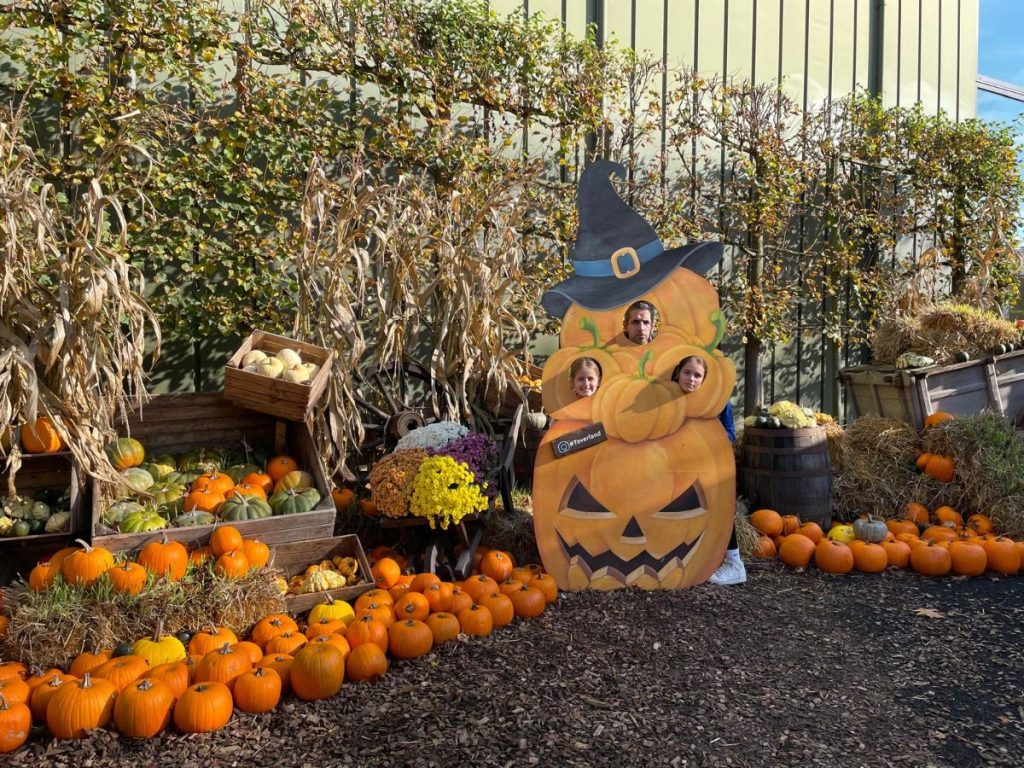pumpkin farm toverland halloween pompoen