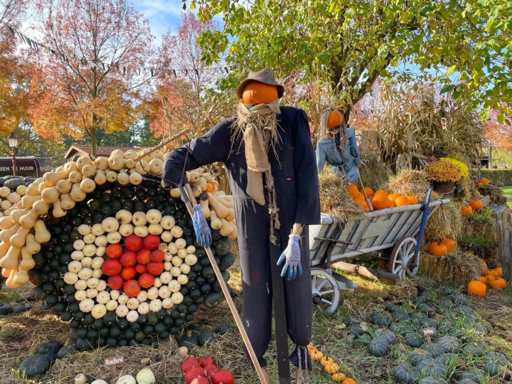 pumpkin farm toverland halloween pompoen