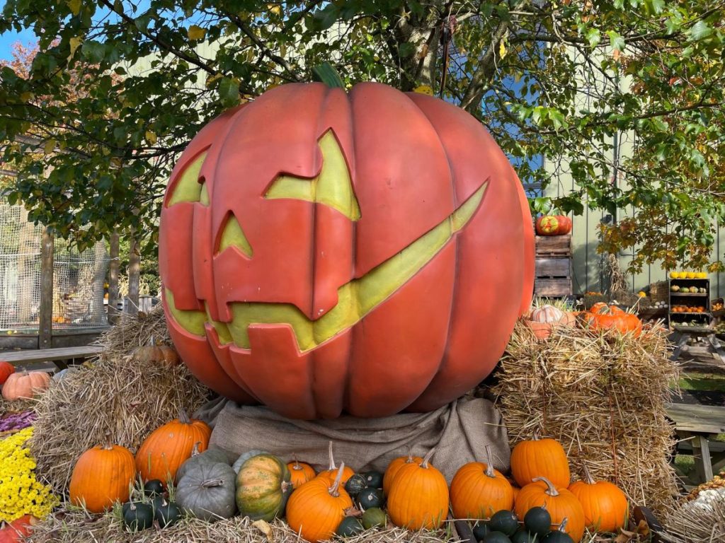 pumpkin farm toverland halloween pompoen