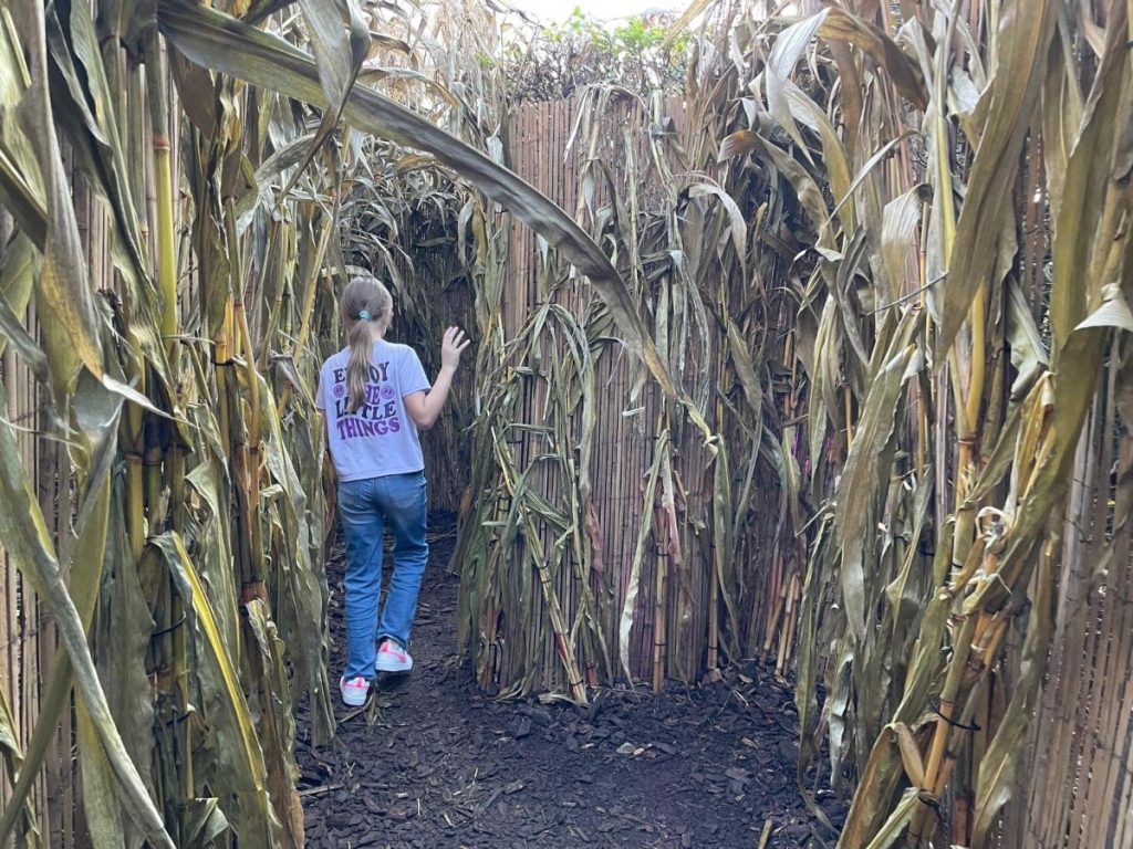 toverland Halloween doolhof