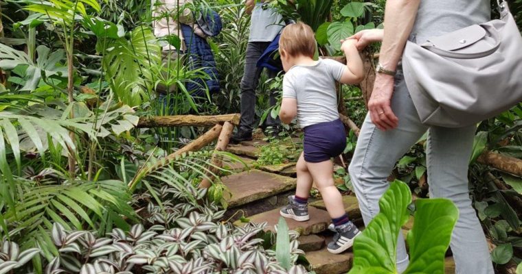 Vlinders aan de Vliet in Leidschendam – een warm uitje