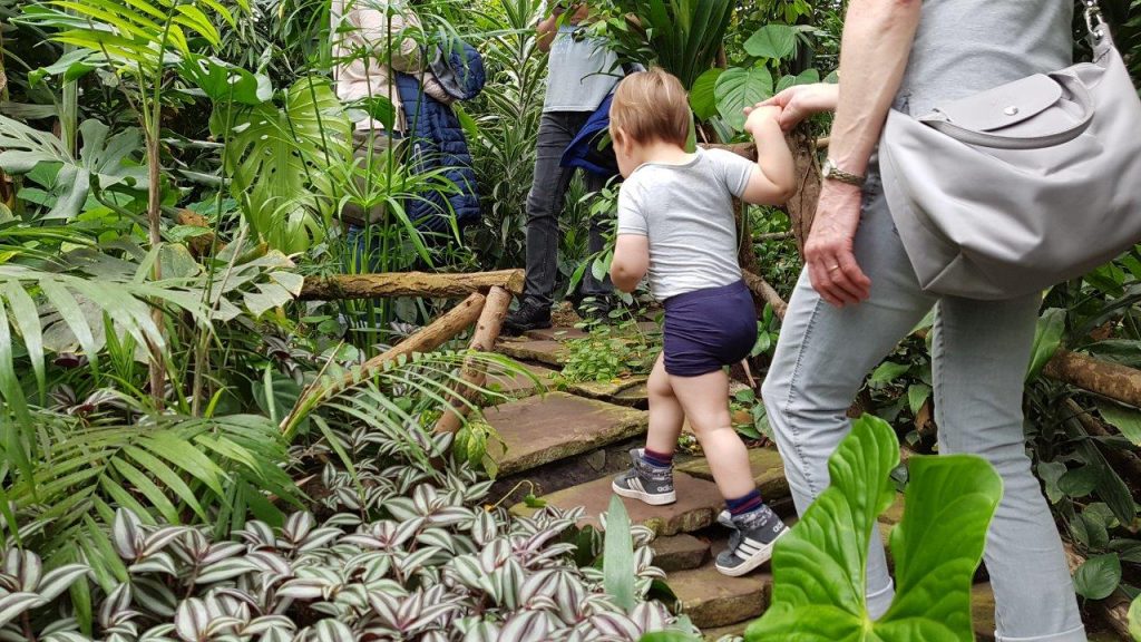 vlinders aan de vliet vlindertuin moeder met kind stapsteen