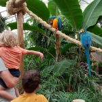 kinderen en vader met papegaaien berkenhof