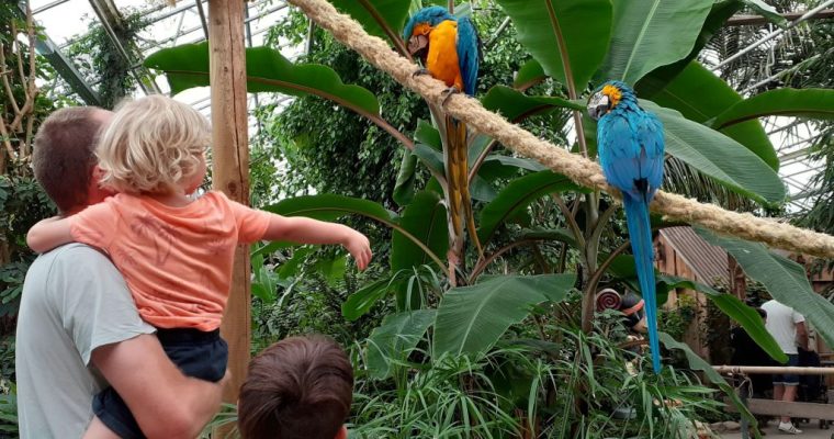 Berkenhof Tropical Zoo – een top uitje in Zeeland