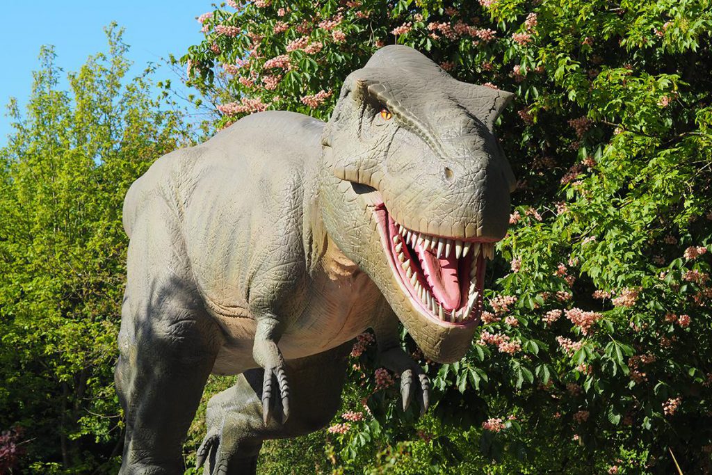 t-rex tyranossaurus dino dinosaurus