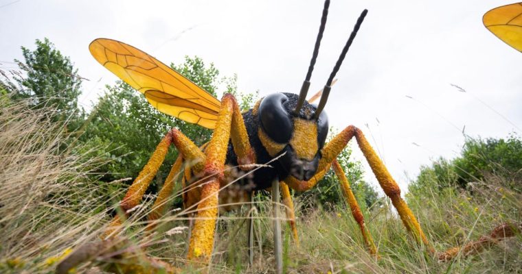 Big Insects in ZooParc Overloon – een nieuwe expositie
