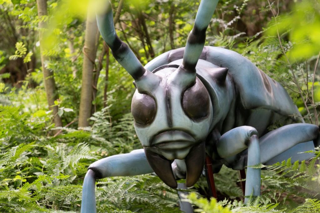 big insects overloon