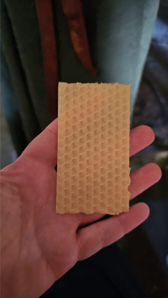 activiteitenpas archeon 