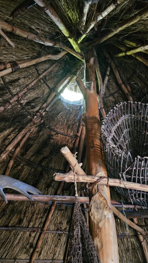 expeditie archeon prehistorie