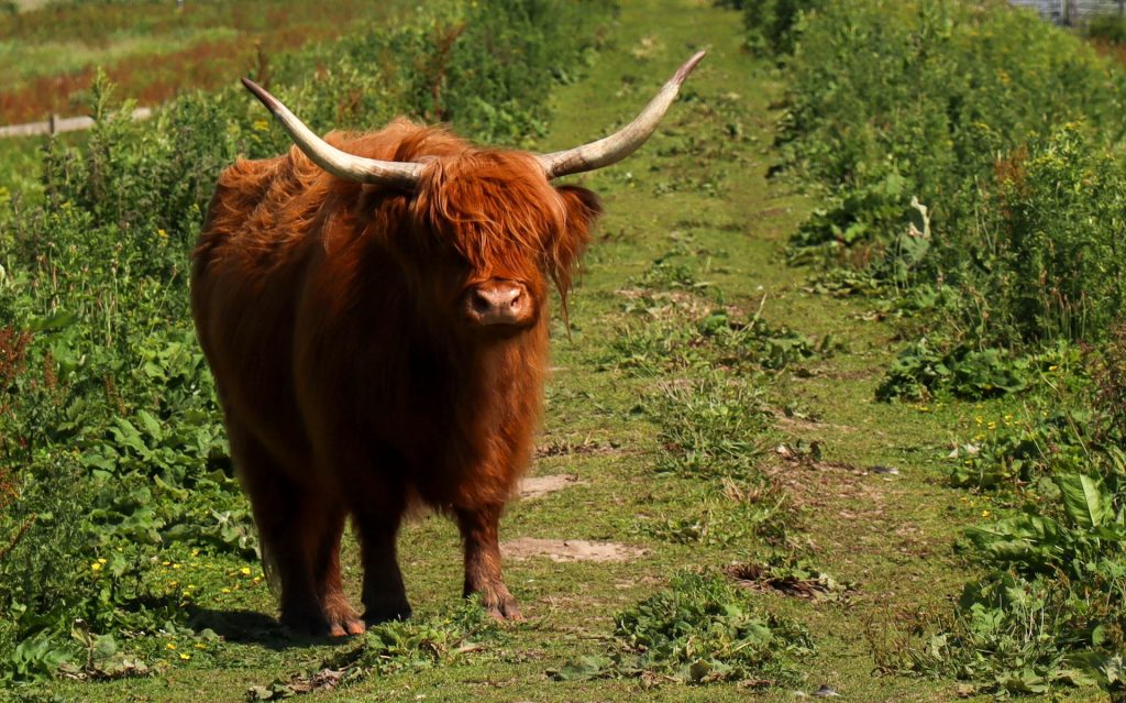 landgoed tiengemeten dagtocht Nederland