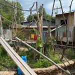 Hof van Eckberge novo mundo