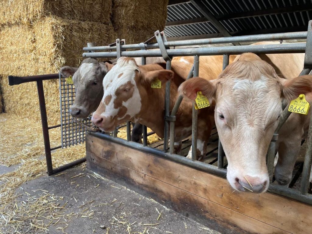 uitstapjes omgeving Groenlo boerderij treintje