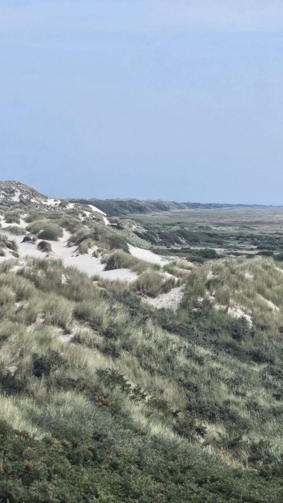De Boschplaat op Terschelling