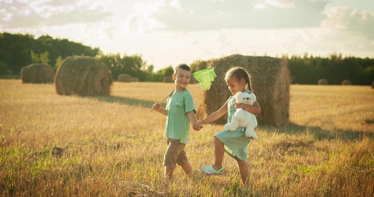 De beste tips voor vakantieplezier in Nederland met het hele gezin