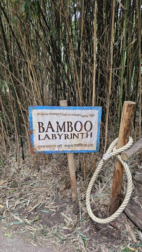 bamboo labryinth