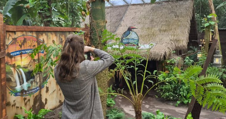 Ontdek Yunka: het nieuwe junglegebied in WILDLANDS Adventure Zoo Emmen