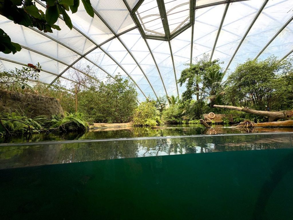 burgers'zoo arnhem mangrove