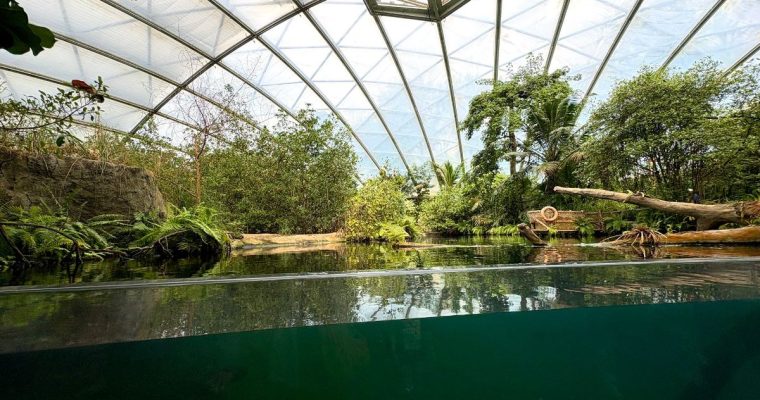 Burgers’ Zoo Arnhem, een boeiende en mooie dierentuin