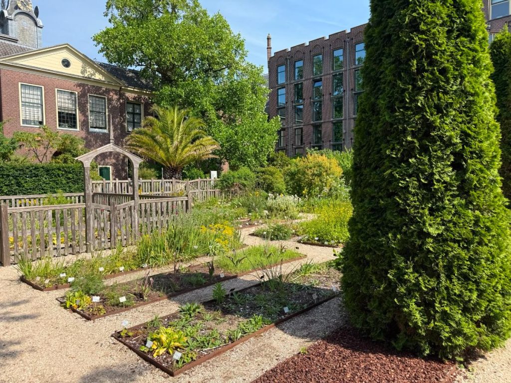 Hortus Botanicus Leiden