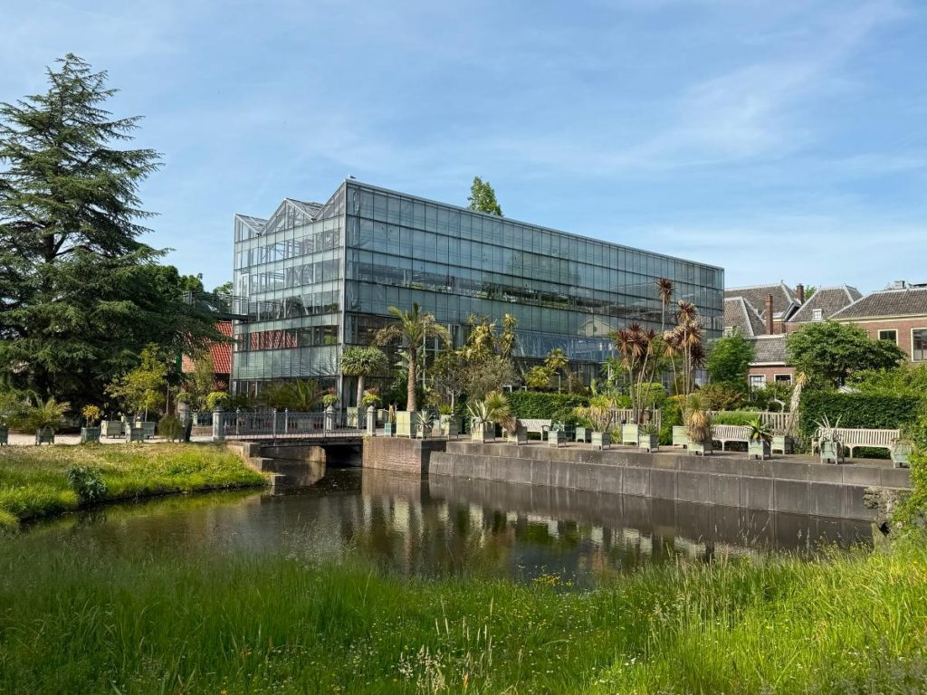 Hortus Botanicus Leiden: een verborgen oase in Leiden