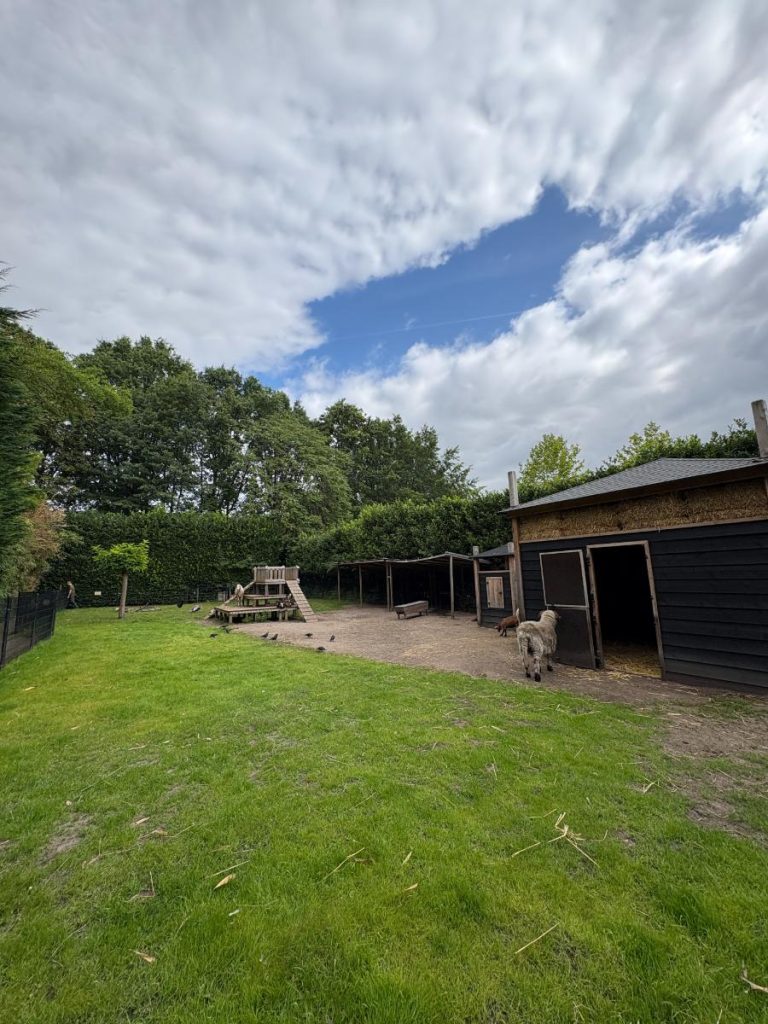 kinderboerderij