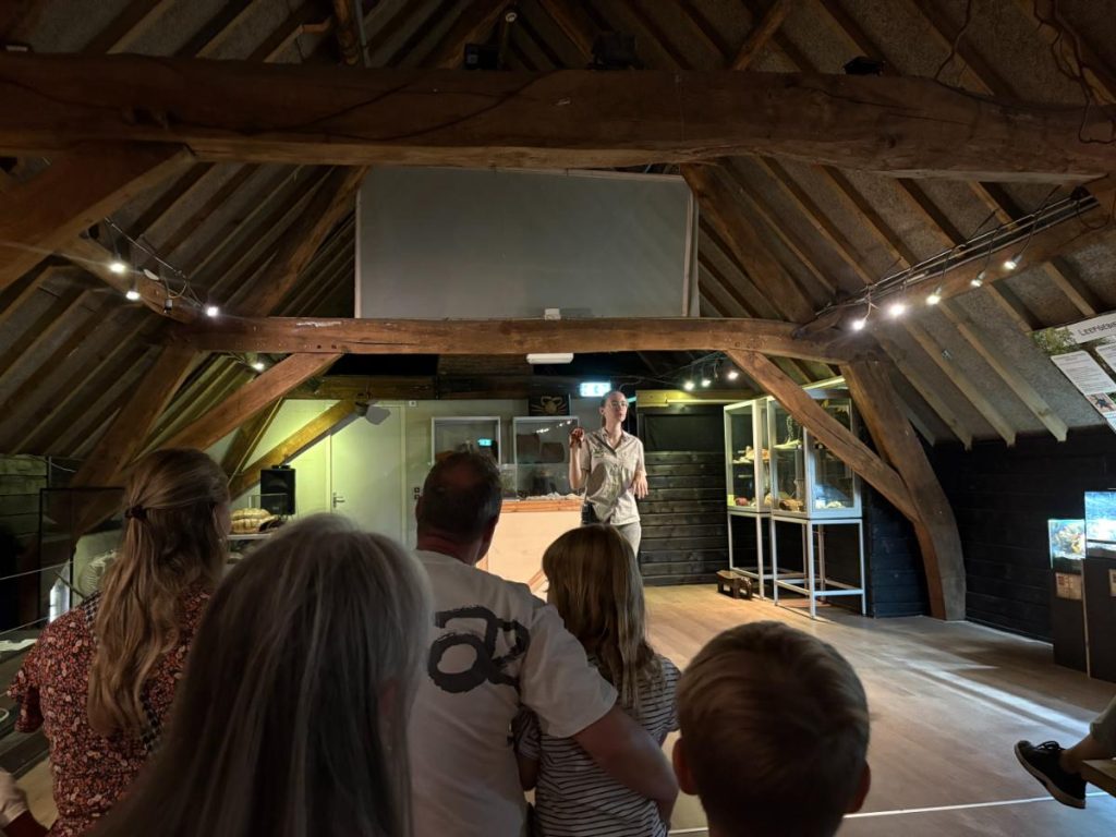 demonstratie zolder reptielen insecten dierenpark de oliemeulen