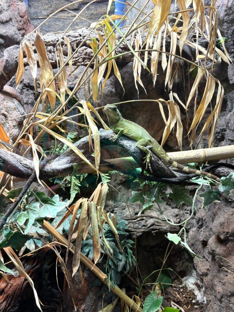 Dierenpark De Oliemeulen