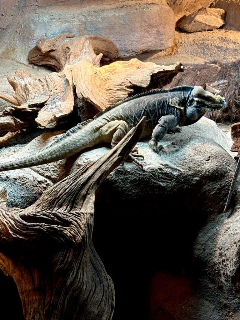 Dierenpark De Oliemeulen