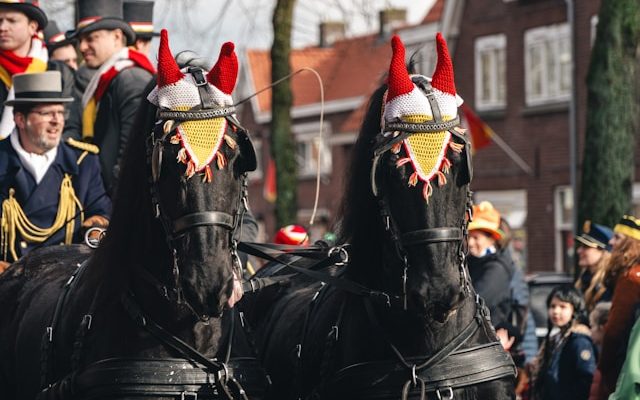 Wat te doen in Noord-Brabant? De leukste uitjes en bezienswaardigheden