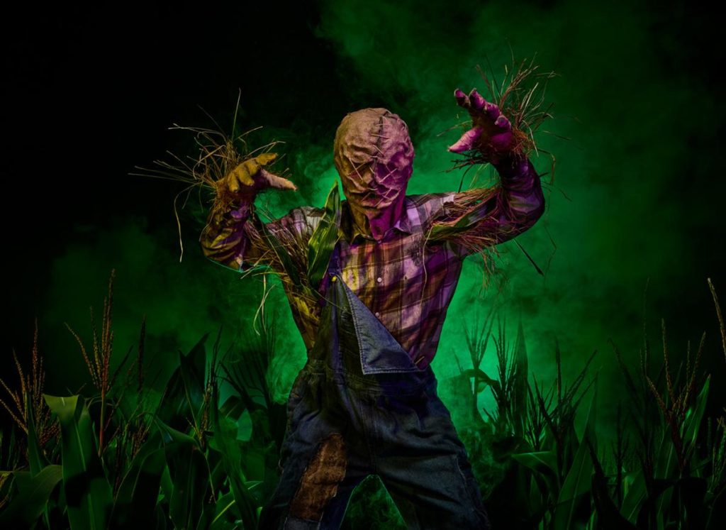 Entwined: The Maze – griezelen in het grootste Halloween-doolhof van Europa