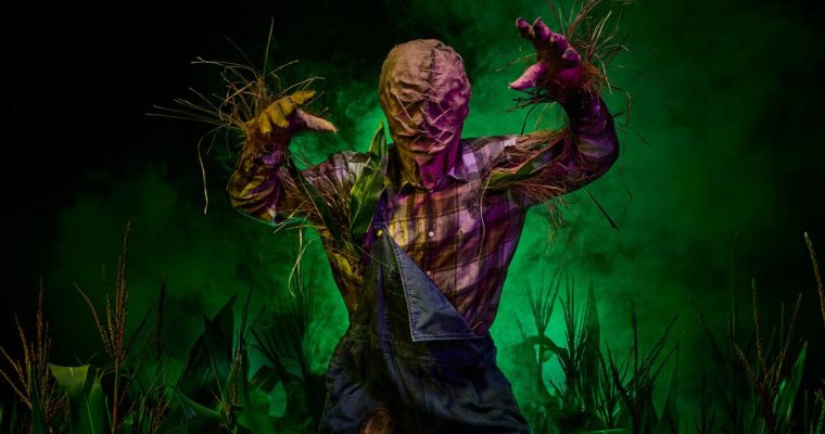Entwined: The Maze – griezelen in het grootste Halloween-doolhof van Europa