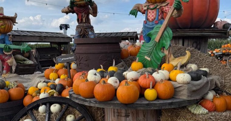 Halloween in Toverland 2026: onze ervaringen, tips en een avond vol griezels
